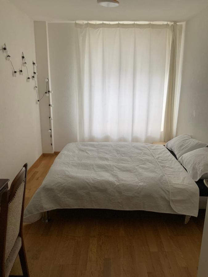 Lion Bb Swiss Apartment ซูริก ภายนอก รูปภาพ