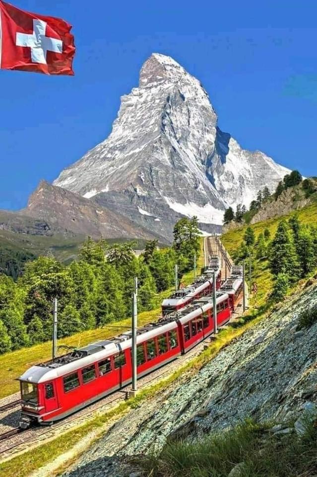 Lion Bb Swiss Apartment ซูริก ภายนอก รูปภาพ